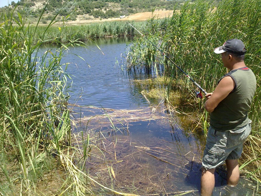 12.07.2011 (107).jpg