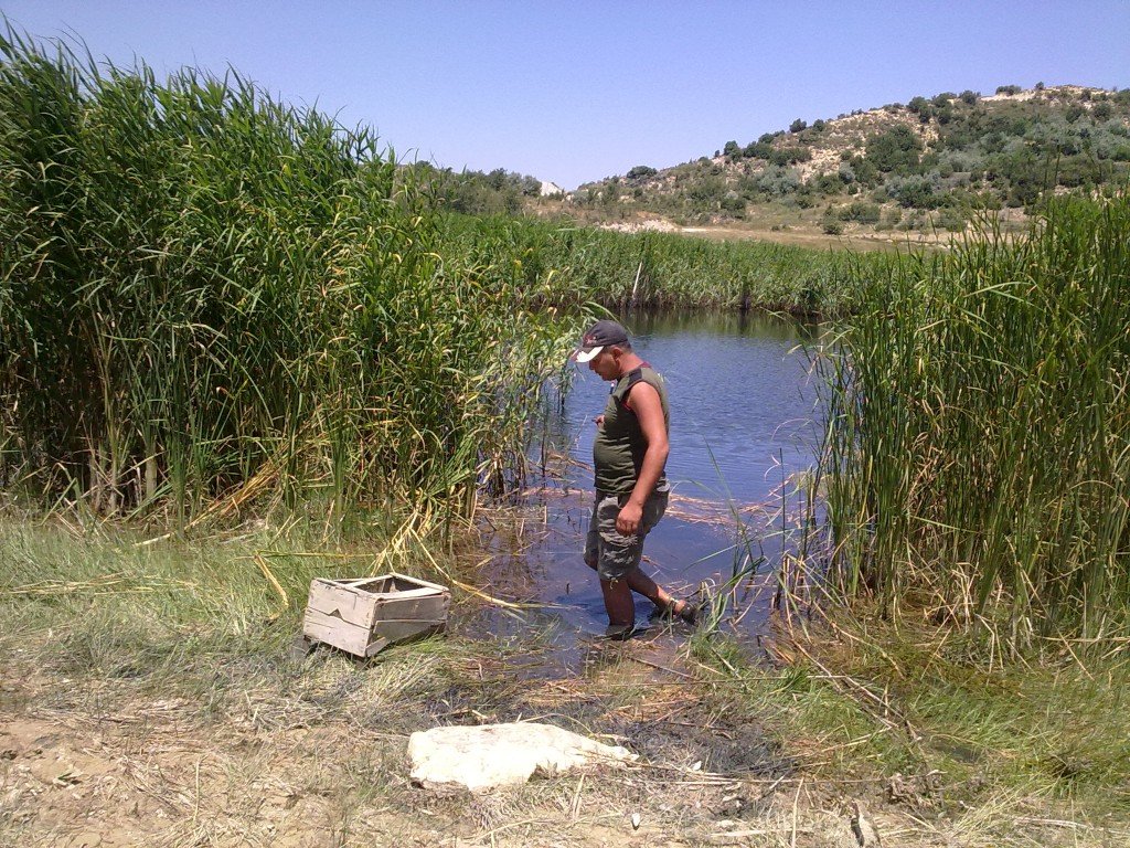 12.07.2011 (108).jpg