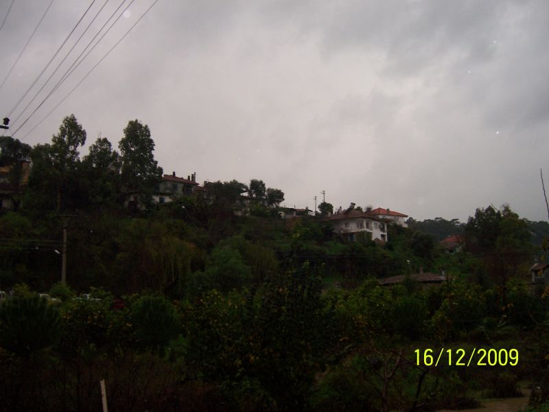 12.2009 003.jpg
