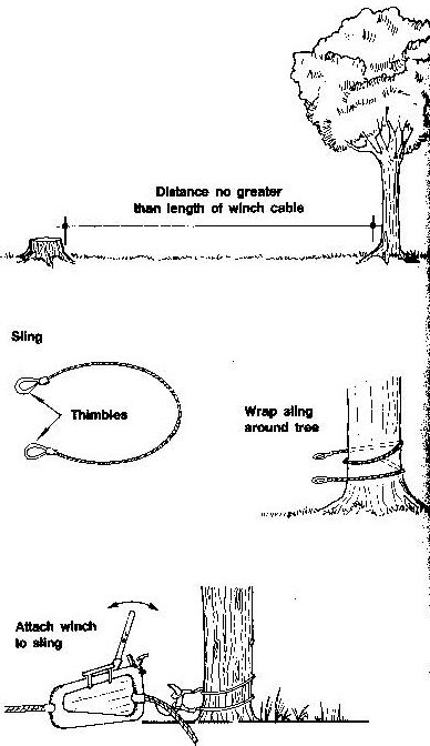 12 Haziran 2008 PerÃƒÂƒÃ‚Â…ÃƒÂ‚Ã‚ÂŸembe (10).jpg