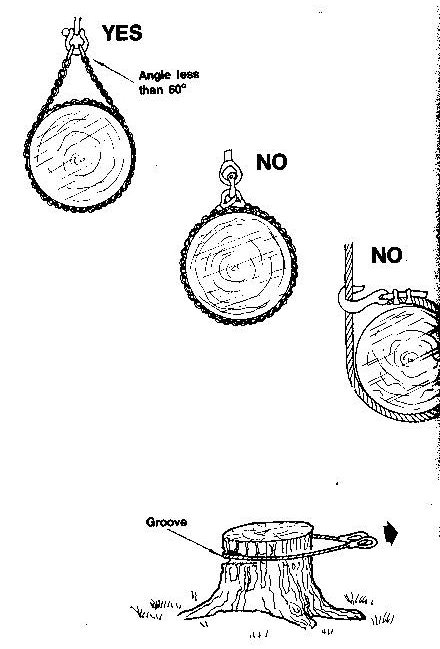 12 Haziran 2008 PerÃƒÂƒÃ‚Â…ÃƒÂ‚Ã‚ÂŸembe (12).jpg