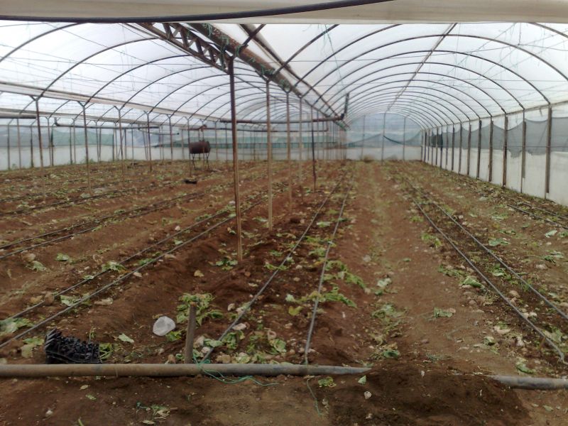 120120104730.jpg