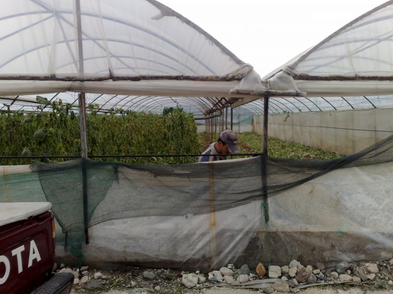 120120104731.jpg