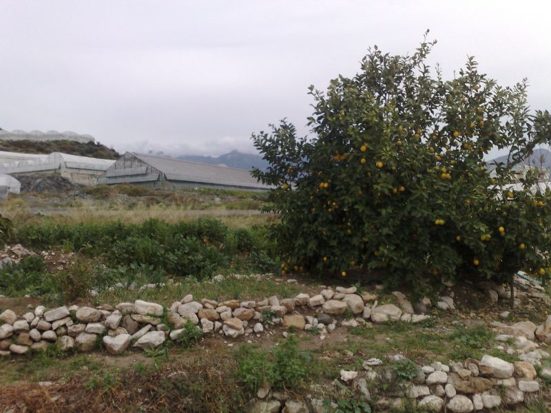 120120104732.jpg