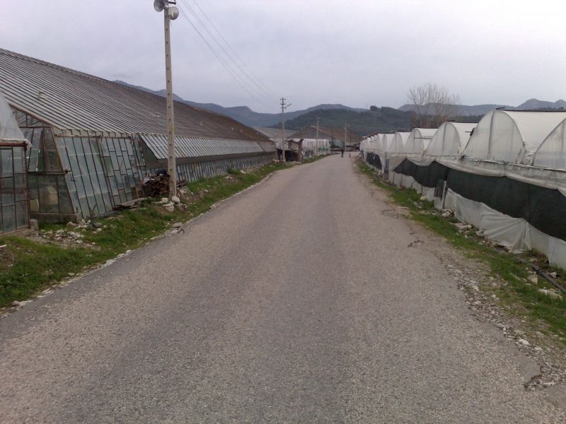 120120104733.jpg