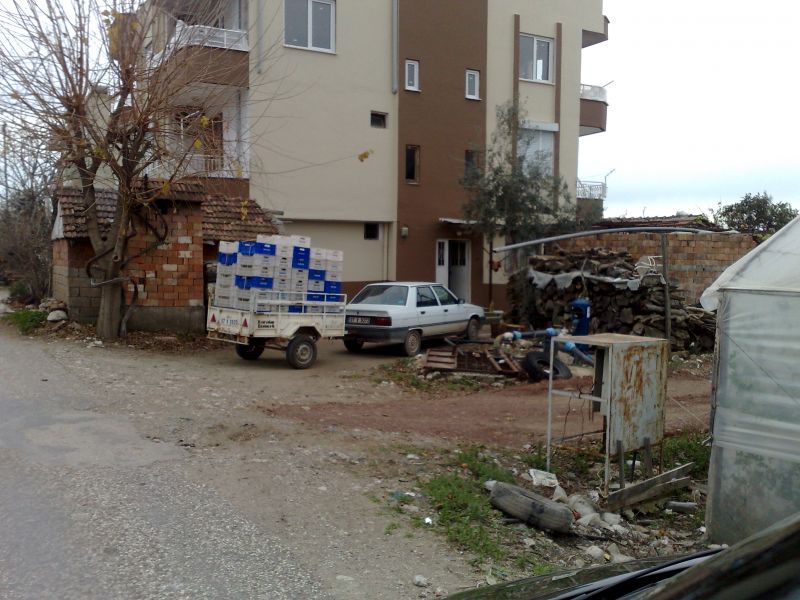 120120104738.jpg