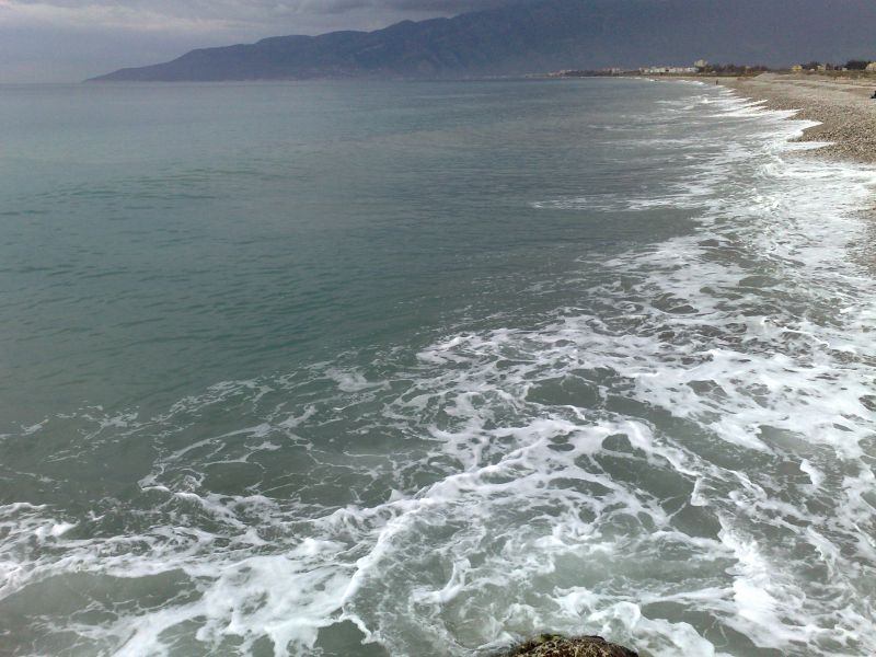 120120104771.jpg