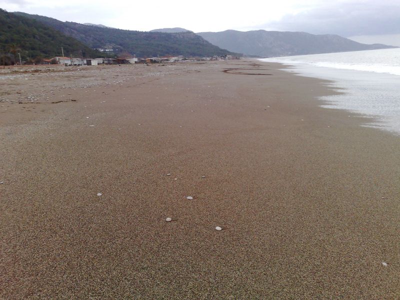 120120104822.jpg
