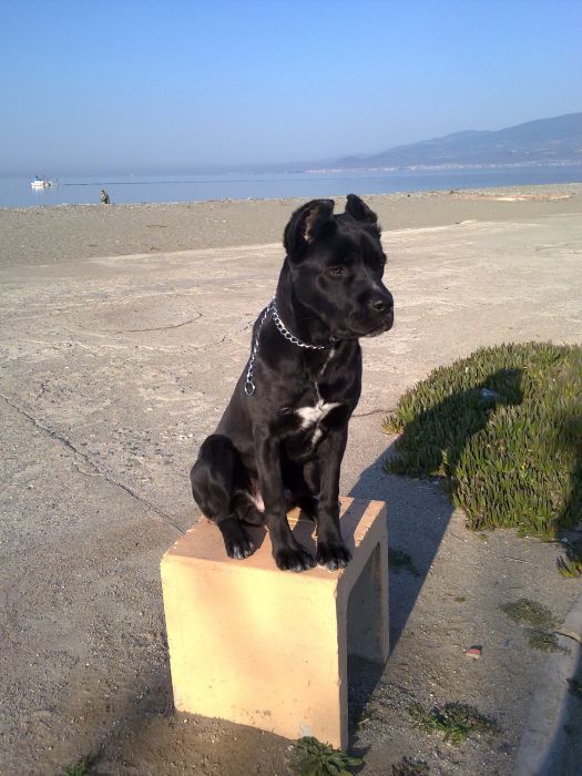 12032011249.jpg