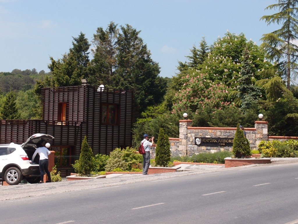 12052013_37.JPG