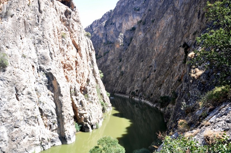 120_800x531.JPG