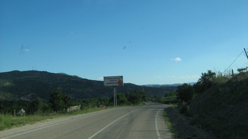 121.JPG