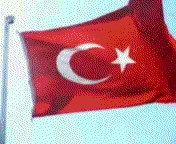 123.gif