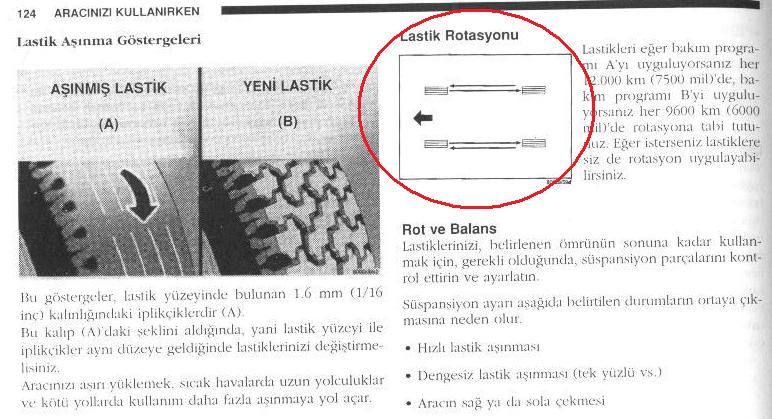 124.jpg