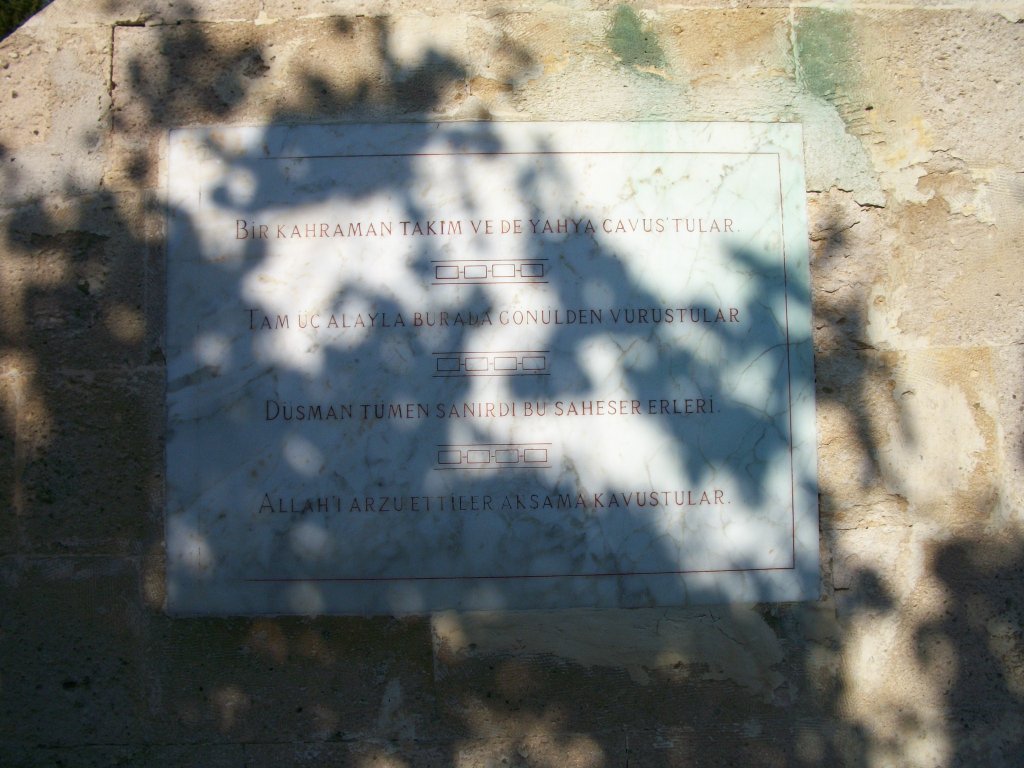 126.JPG