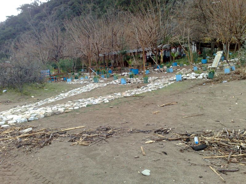 130120105191.jpg