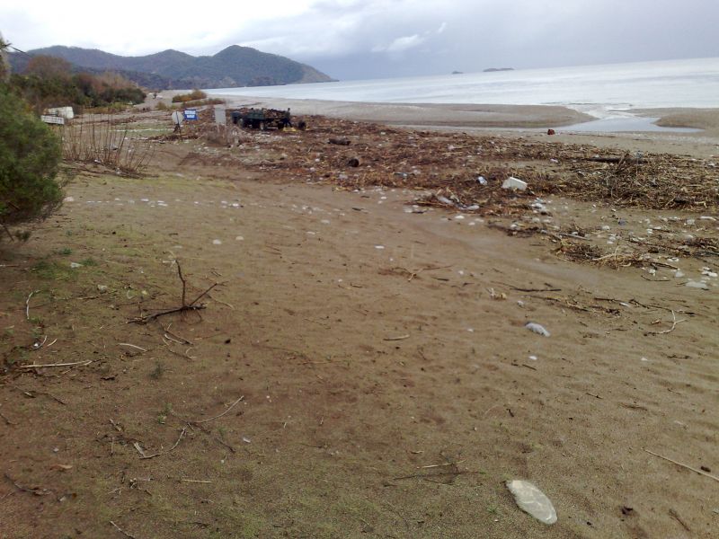130120105201.jpg