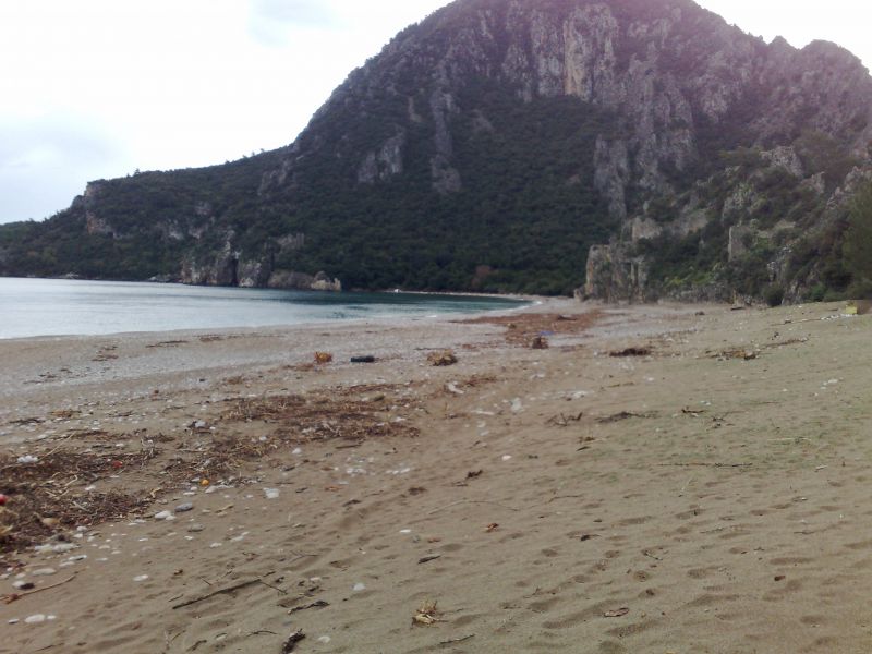 130120105202.jpg