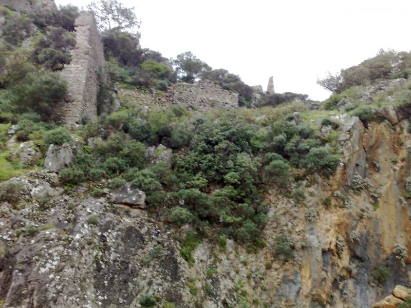 130120105214.jpg