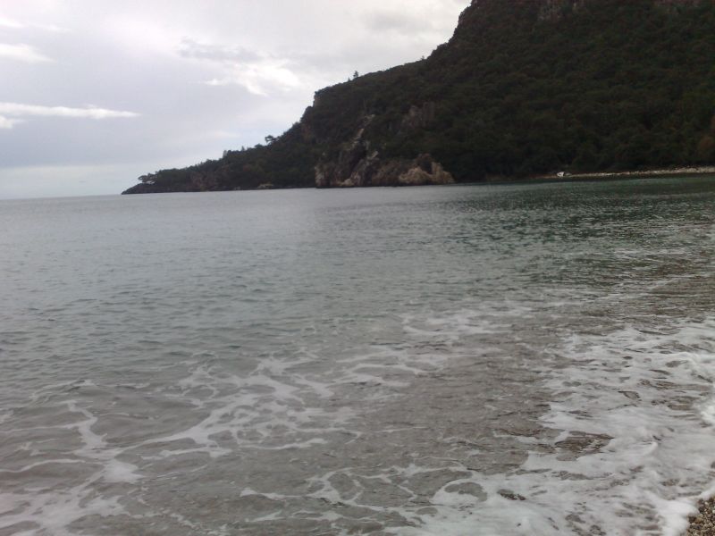 130120105218.jpg