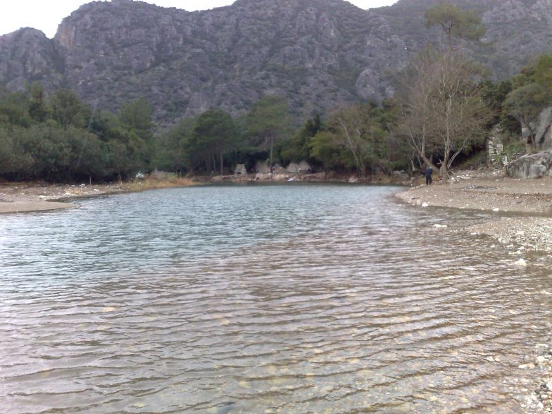 130120105226.jpg