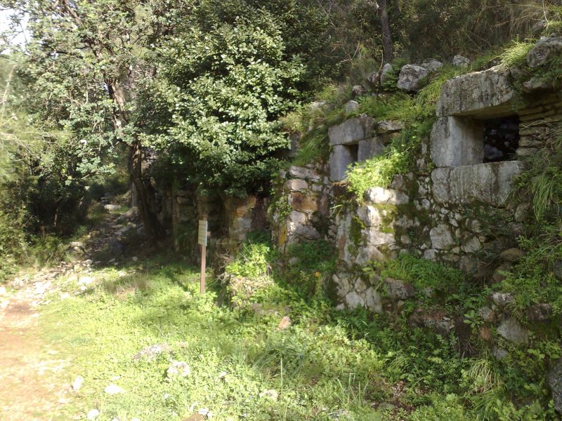 130120105256.jpg