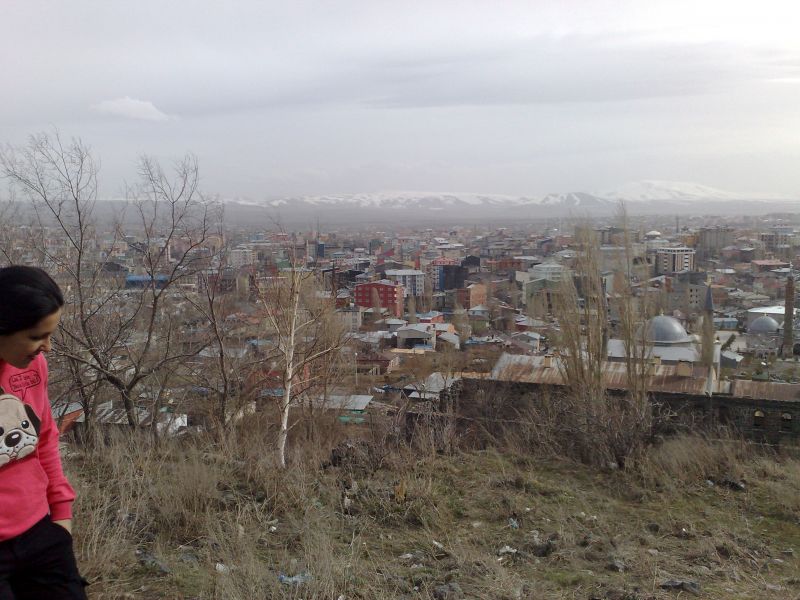 13032010074.jpg