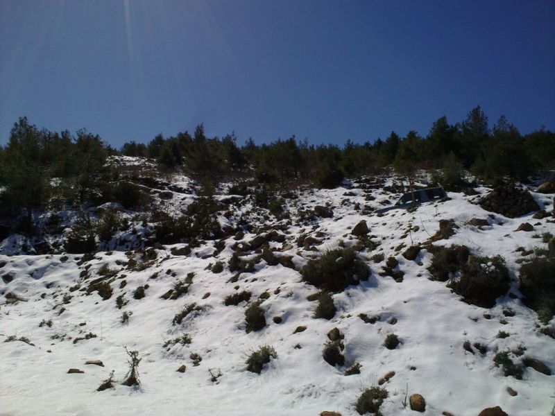 13032011327.jpg