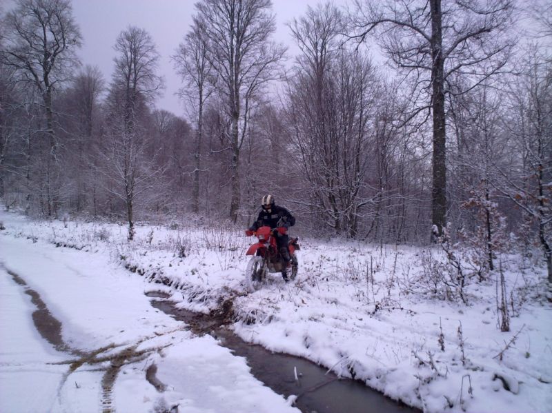 13122009246 (1077 x 807).jpg