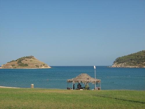 1325_2.jpg