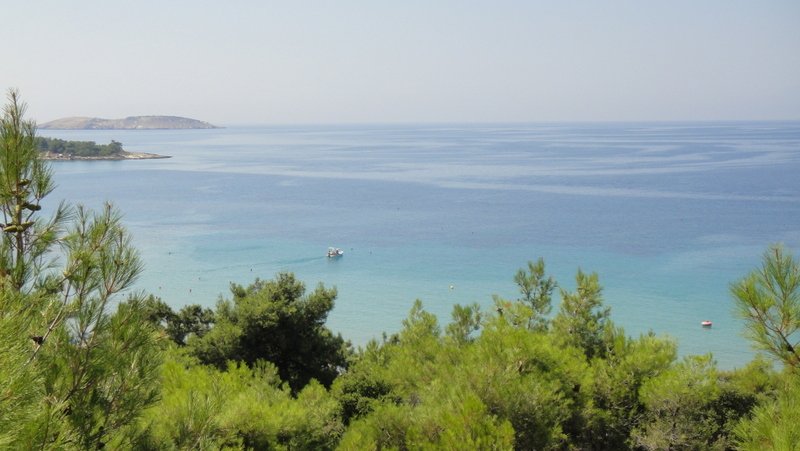 133.JPG