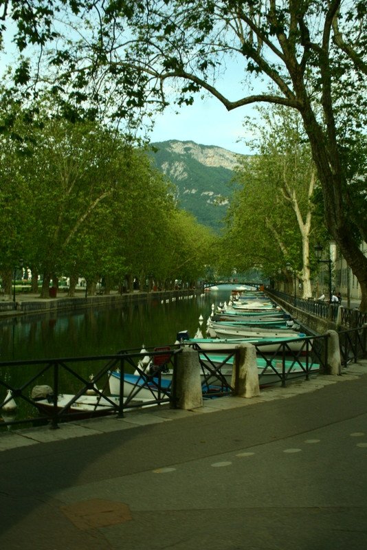136-IMG_3953.JPG