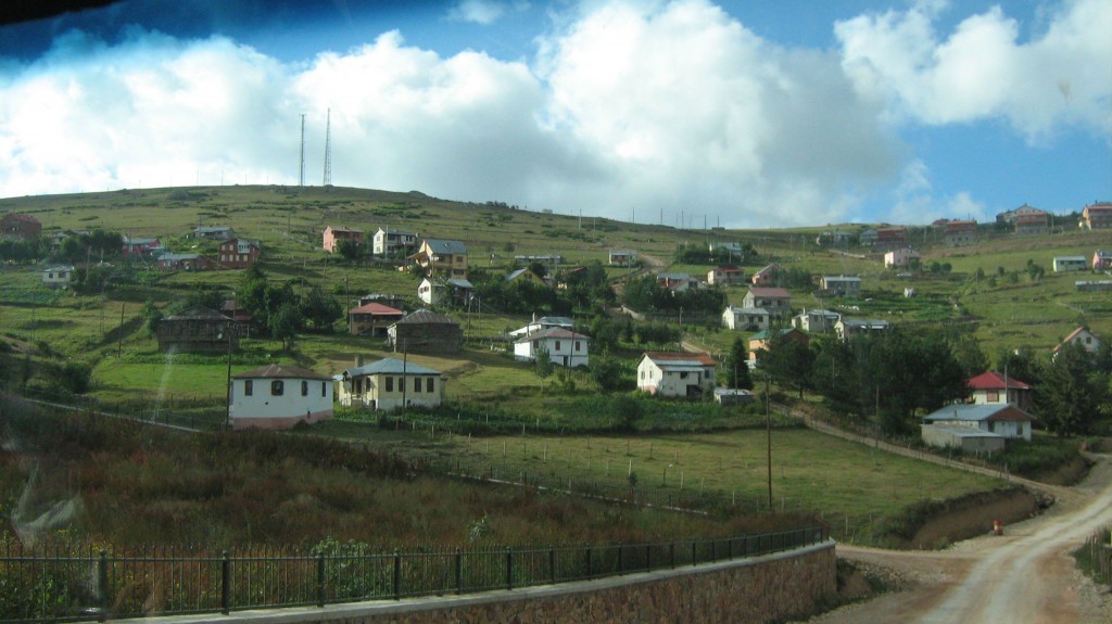 138.JPG