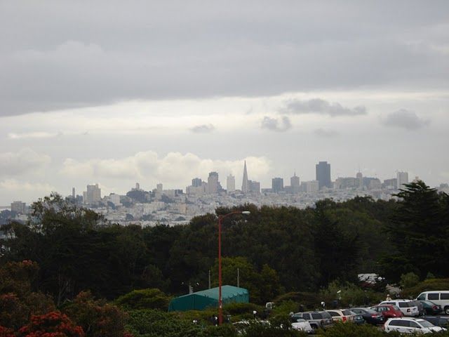 139.jpg