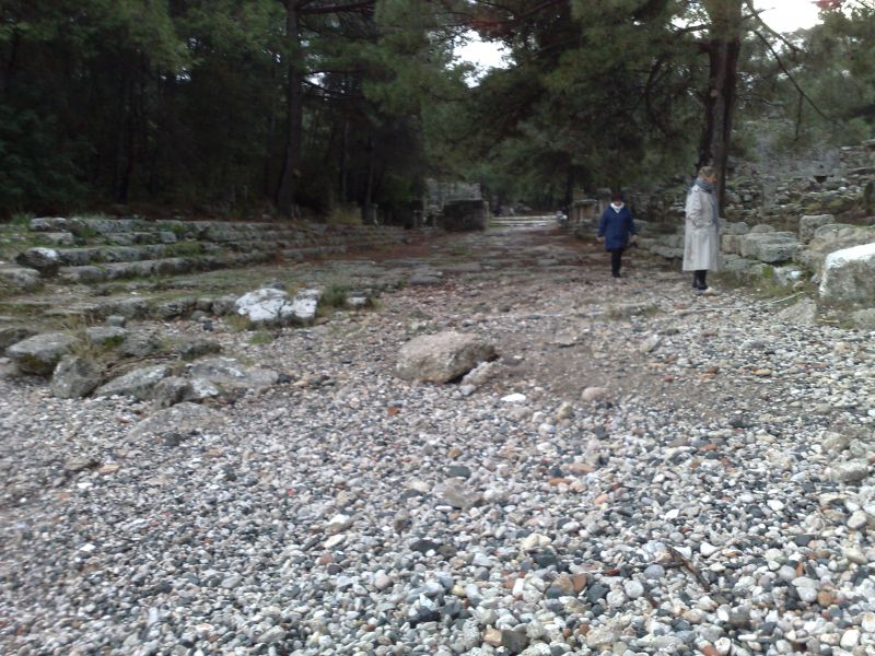 140120105561.jpg
