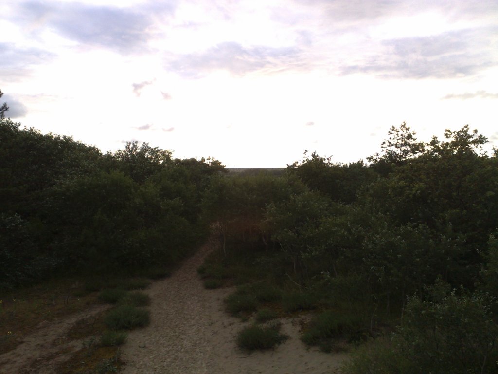 140720123906.jpg