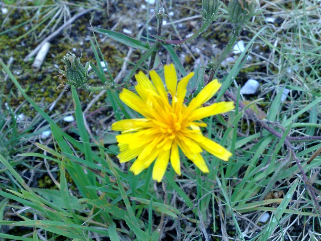 140720123911.jpg