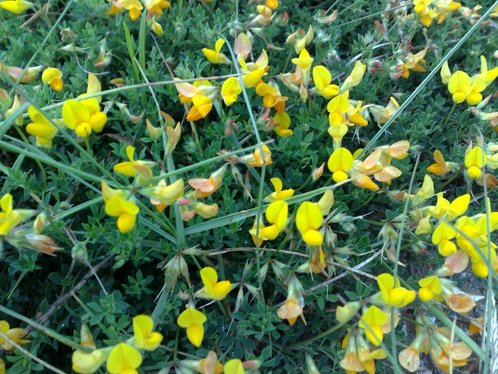 140720123912.jpg