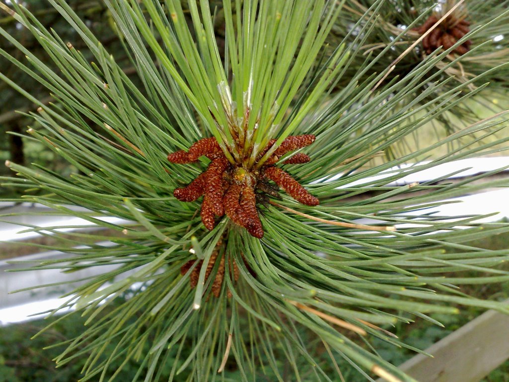 140720123917.jpg