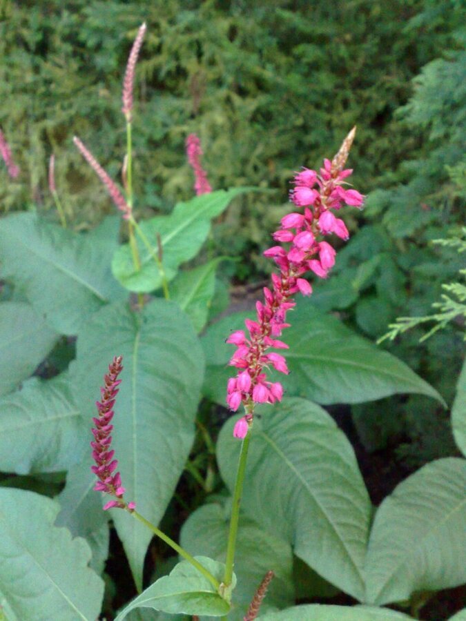 140720123930.jpg