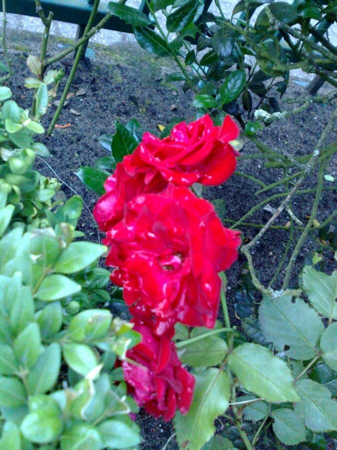 140720123931.jpg