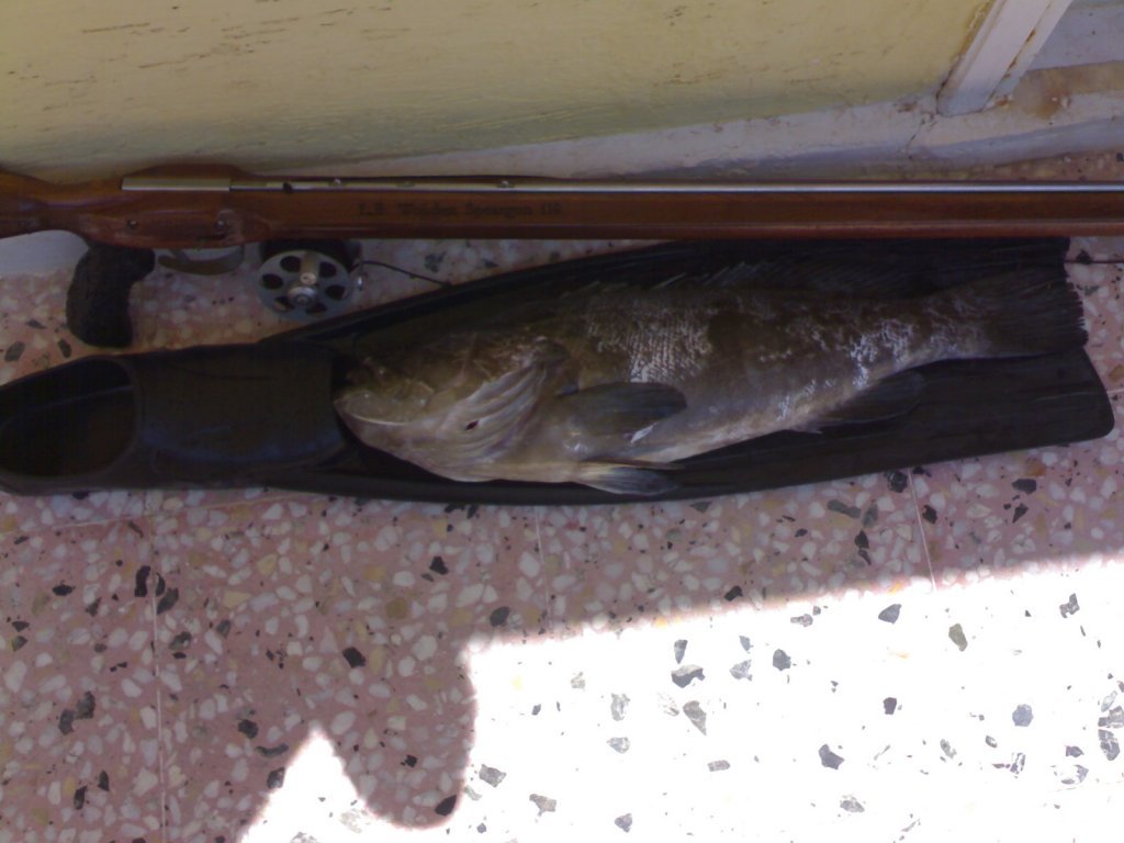 14082009563.jpg