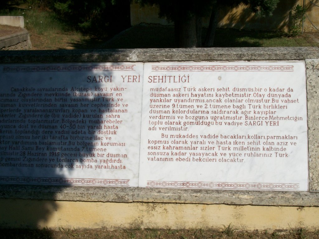 141.JPG