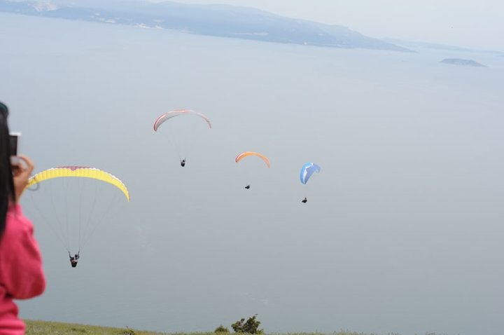 14109_394076343258_527293258_3900999_1476462_n.jpg
