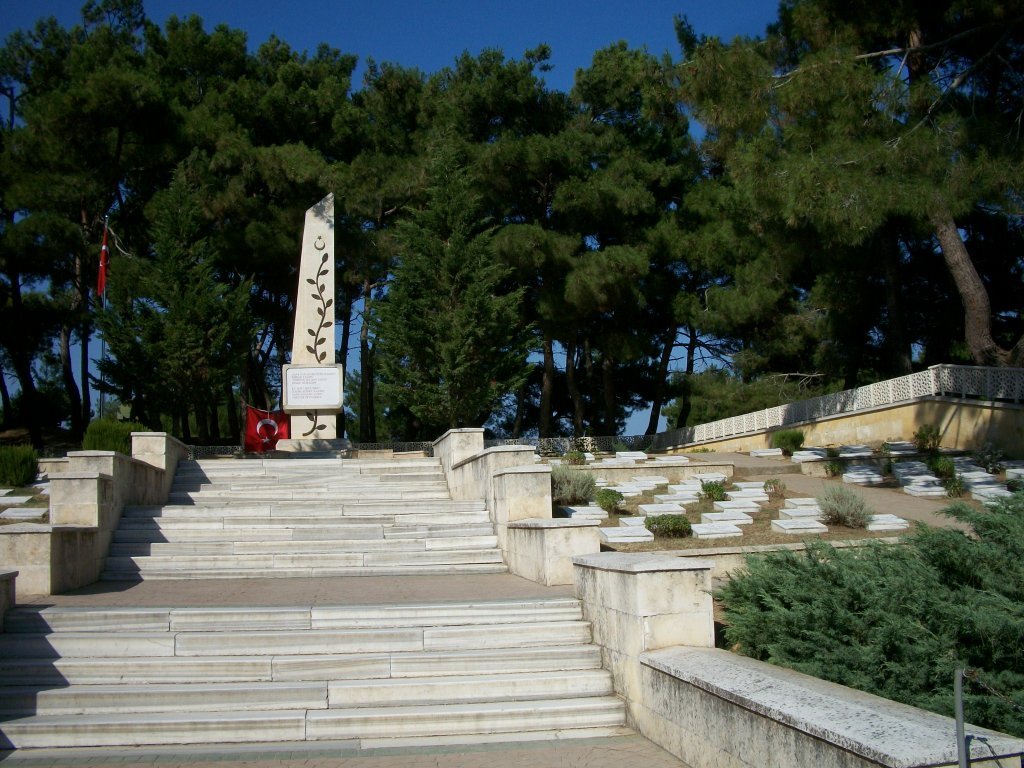 144.JPG
