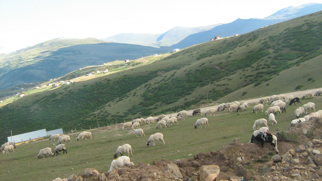 144.JPG