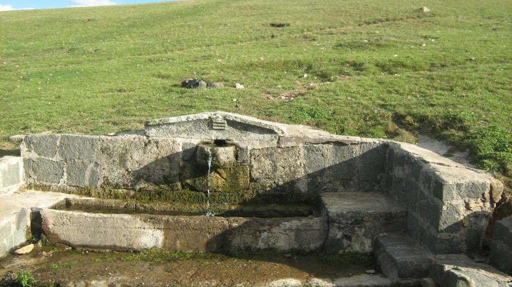 149.JPG