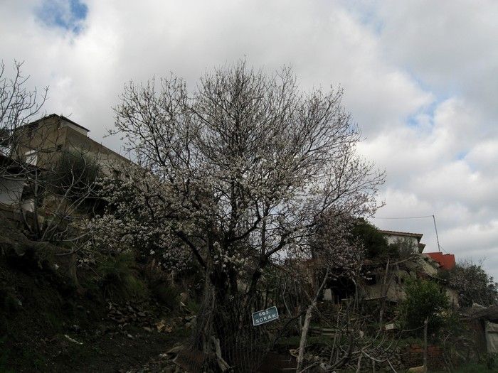 15.02.09 - G.Bahce 005.jpg