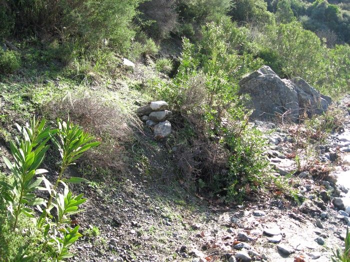 15.02.09 - G.Bahce 015.jpg