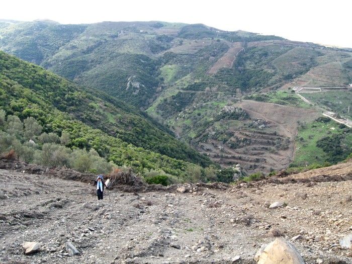 15.02.09 - G.Bahce 019.jpg